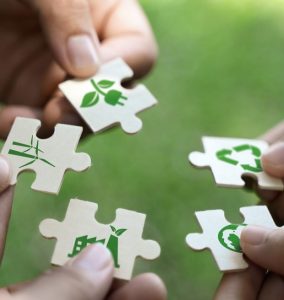 Commitment to Quality and Sustainability