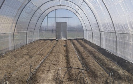 Installation of Agriculture High Tunnels and Drip Irrigation System